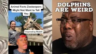 Animal Secrets Zoos Don’t Want You To Know | Casual Geographic Reaction