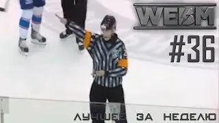 Dank WebM Compilation #36