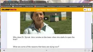 Using LessonLauncher Bees Solo