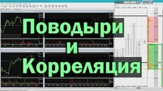 Значимость поводырей и корреляции на финансовом рынке.