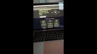 Как получить больше DOGS #криптовалюты