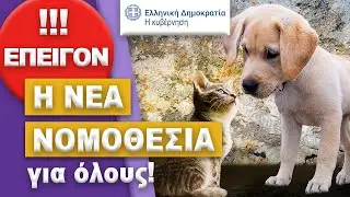 SOS !! Η ΝΕΑ ΝΟΜΟΘΕΣΙΑ για τα Ζώα Συντροφιάς!