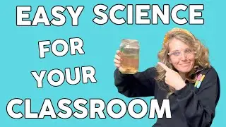 3 Easy & Affordable Science Experiments for the 1st & 2nd Grade Classroom