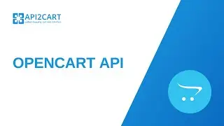 OpenCart API: How to Effectively and Easily Develop an eCommerce Integration