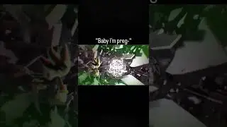 not anymore #shorts #shortvideo #short #shortsfeed #shortsviral