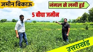 जमीन बिकाऊ | Ramnagar to Nainital Road | Forest touch Lnad | 5 Bigha
