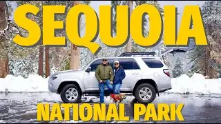 Sequoia National Park 2024 (Video Blog)