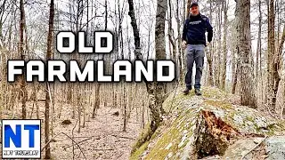 Walking through abandoned colonial farmland in NH 150 years later