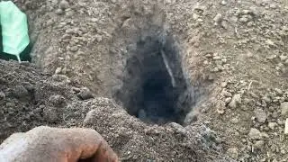 How to store manure and kill weeds in manure