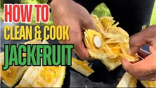 How to Clean & Cook Jackfruit: From Whole Fruit to BBQ Pulled Pork Substitute + Fruit Tree Giveaway!