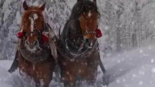 Доброго Нового года