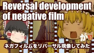 @198 I tried reversal developing negative film, but.. ネガフィルムをリバーサル現像してみたが..