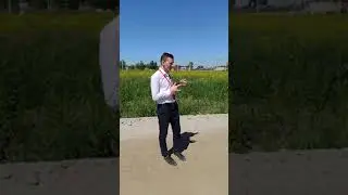 Земельные участки в коттеджном поселке Береза парк