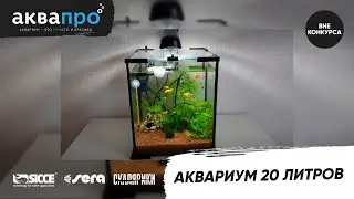 00. Аквариум 20 литров #АкваПро (вне конкурса)