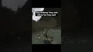 Average Wukong Chapter 4 Experience #wukong #shorts #funny