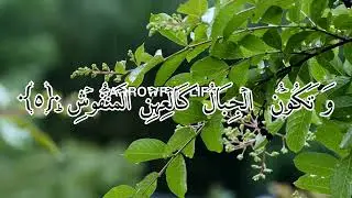 Surah e Qariya|Al Quran| Beautiful Quran recitation |Aam para Surah e Qariya |#viral #sarrowful_life