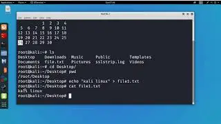 Basic commands in Kali Linux