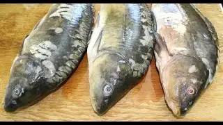 ШАШЛЫК ИЗ РЫБЫ