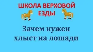 ЗАЧЕМ НУЖЕН ХЛЫСТ НА ЛОШАДИ
