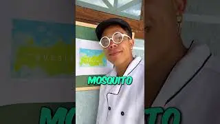 ACERTOU MIZERAVI   -- RUAN MANIA  