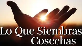 Recibes Lo Que Das ¦ El Karma ¦ Reflexión, gratefulness, motivational 