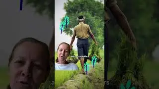 Rice Reimagined