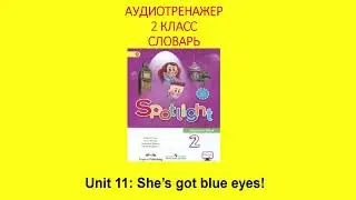 Unit 11: She’s got blue eyes! Spotlight 2