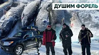 ФОРЕЛЬ. ЗИМА. Платник.