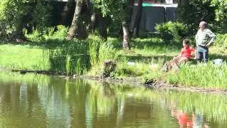 Куршская коса  Рыбачий Rossitten Озеро у Трактира и развилки дорог Kurische Nehrung