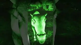 The horror scene #shorts #ytshorts #youtubeshorts #bhoot #ghost #creepy #viral #trending #bhootmovie