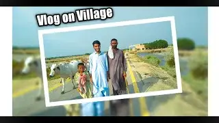 vlog on Village||village||22 vlog.                 #vlogs #22vlog #vlog22