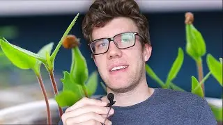 Start Seeds Indoors for 98% Germination! My Top Tips for Success