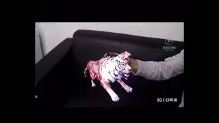 Hologram TV