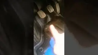 Нива Легенд Туапсе. Мокрый ковролин 🤦‍♀️.