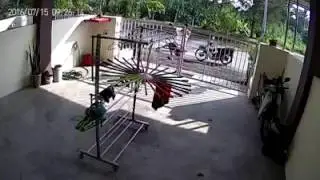 Man caught on CCTV stealing panties - Malaysia