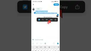 How to copy Twitter profile link? My First new method 