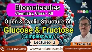 Open, Cyclic, Pyranose & Furanose ring structure of Glucose & Fructose ll Biomolecules