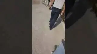 таджиктин уурулары