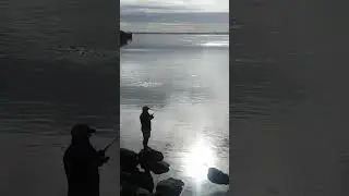 #fishingvideo