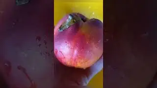 Nectarine