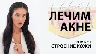 Как устроена наша кожа