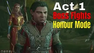 Honour Mode Boss Fights Act 1 - Baldur's Gate 3