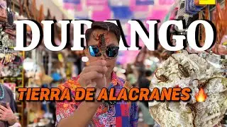 TIERRA DE ALACRANES 🦂 ¿Qué hacer en DURANGO?
