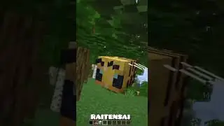 ПРАНК НАД ПЧЁЛАМИ 