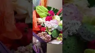 База цветов 24