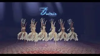 Bellydance  Royal Shamadan Dance