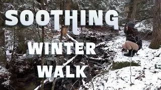 A Soothing Winter Walk - Pantyhose Strolls Through The Woods