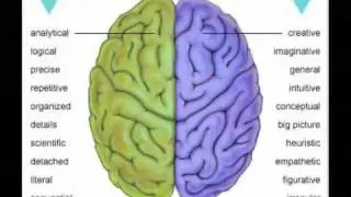 Left Brain Vs Right Brain Education