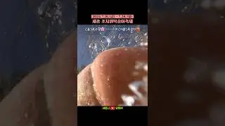 복숭아 러버들 🍑세종에서 만나요🍑 (7.26 - 7.28)
