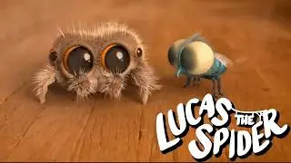 How Lucas the Spider Met Findley + More Lucas the Spider Cartoons for Kids